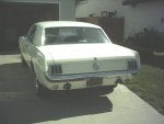 66 mustang 3.jpg