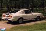 441976_Mustang_Cobra_II_Photo_2.jpg