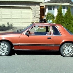 1980 Mustang Hardtop