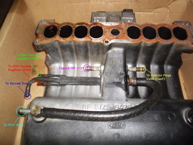 Upper and Lower intake install - Ford Mustang Forum 1991 1998 ford explorer engine diagram 
